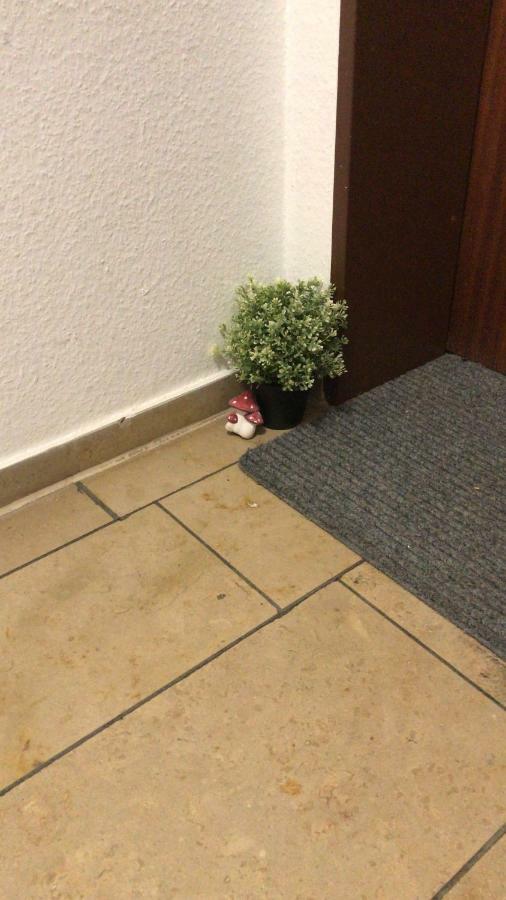Troisdorf - Rotter See - 60 Qm - 1 Bis 3 Personen Zewnętrze zdjęcie