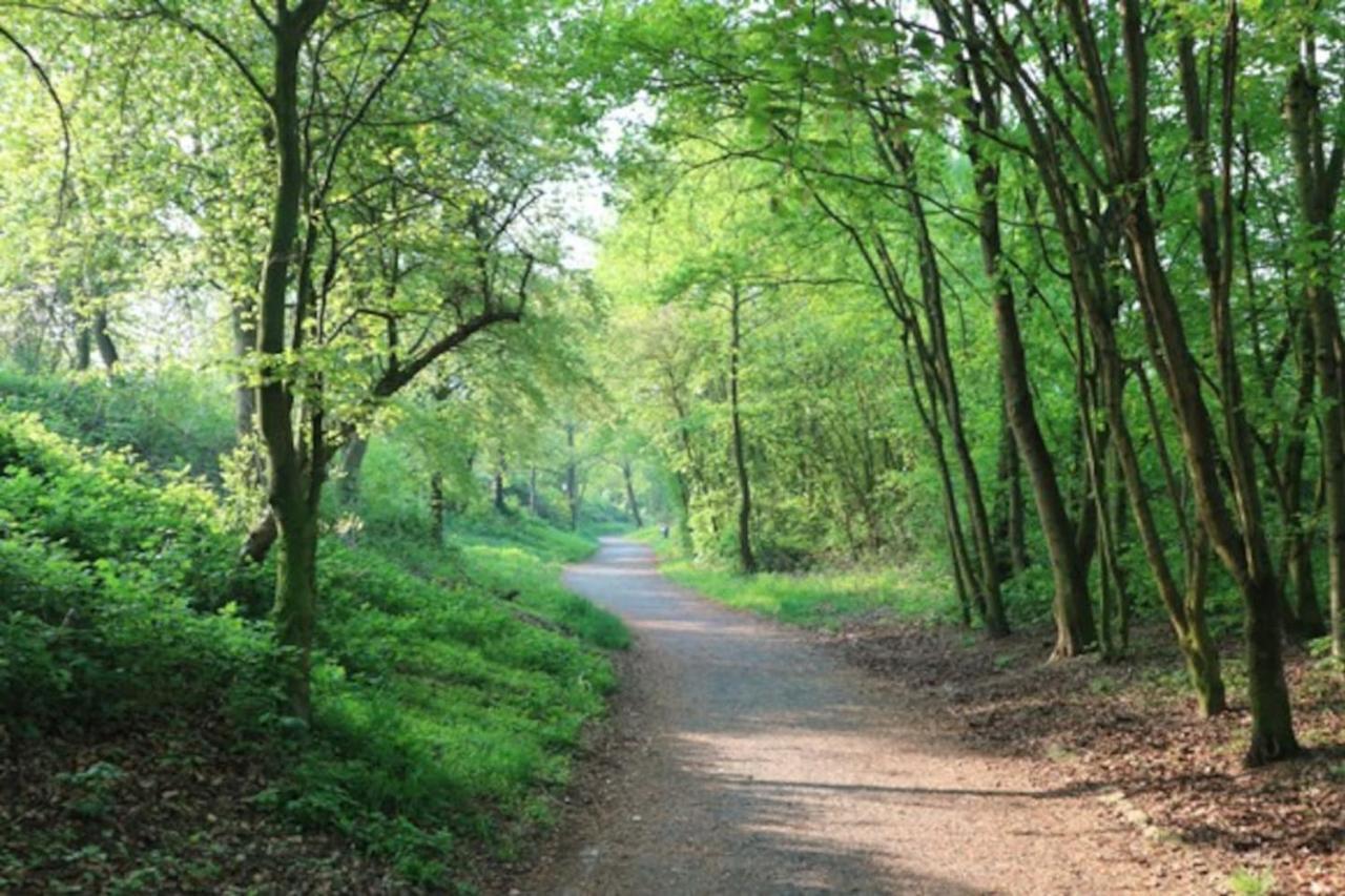 Troisdorf - Rotter See - 60 Qm - 1 Bis 3 Personen Zewnętrze zdjęcie